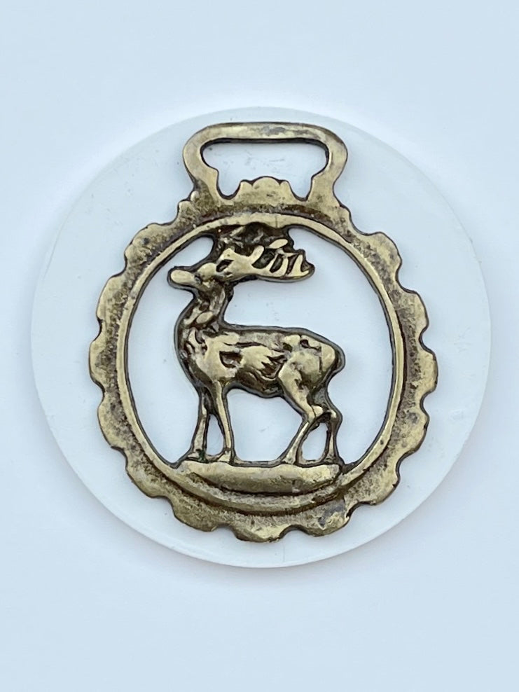 ENGLISH STAG Horse Brass