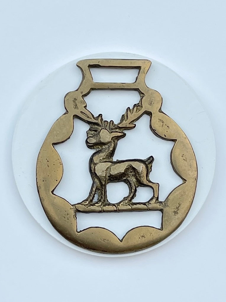 ENGLISH STAG Horse Brass