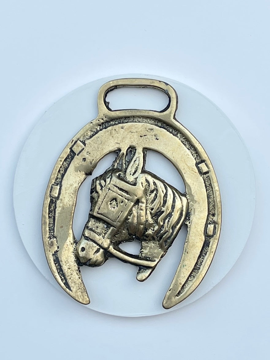 HORSE HEAD IN SHOE Horse Brass