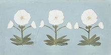 Load image into Gallery viewer, Jaipur Botanical Trio in Ivory
