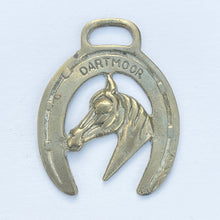 Load image into Gallery viewer, Dartmoor Pony Head Brass - Horse Brass Reservation
