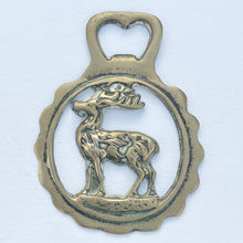 Load image into Gallery viewer, Stag II - Horse Brass Reservation
