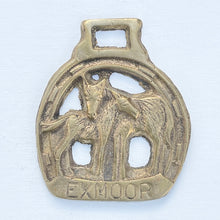 Load image into Gallery viewer, Rare Exmoor Pony Brass - Horse Brass Reservation

