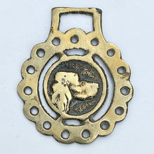 Load image into Gallery viewer, Spaniel Head - Horse Brass Reservation

