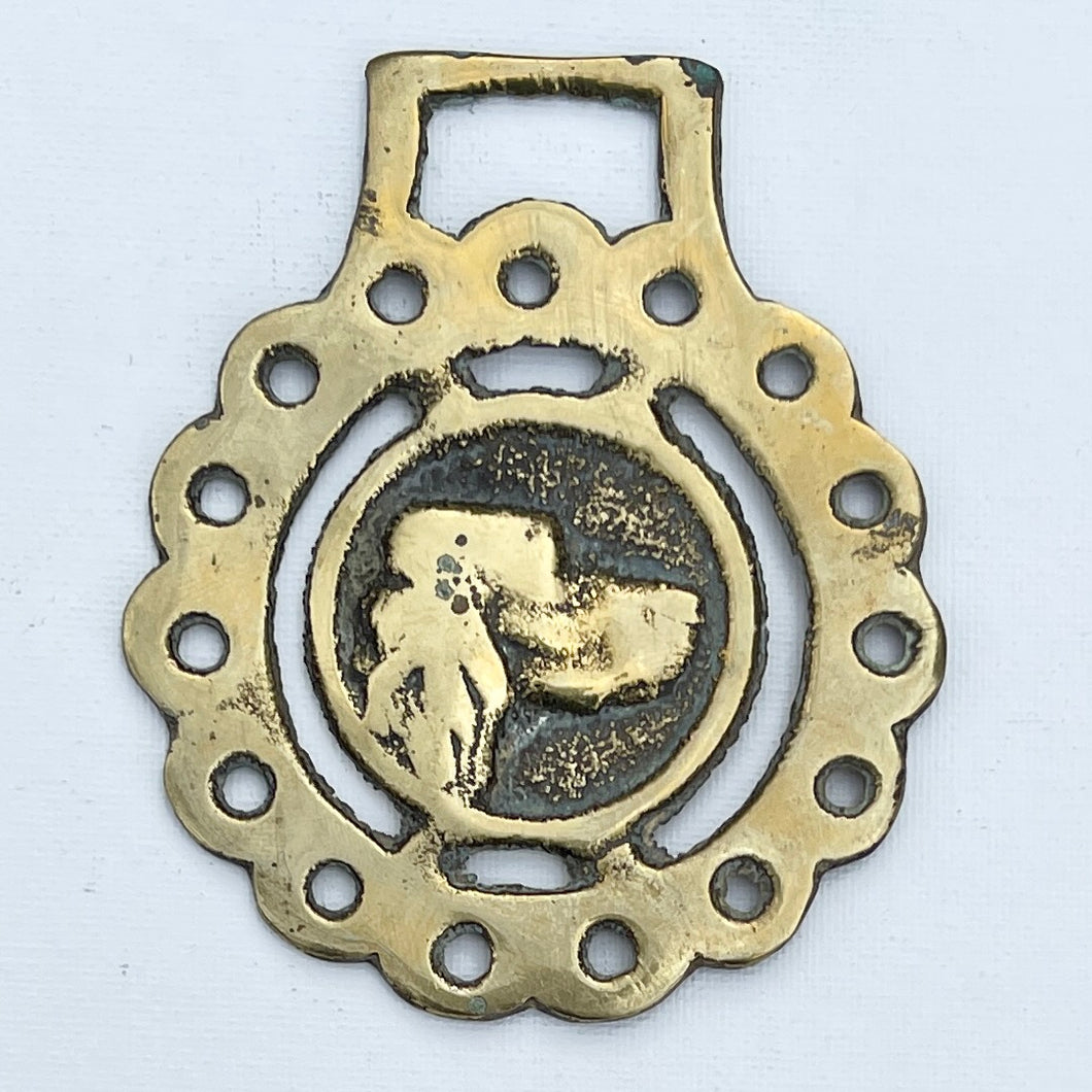Spaniel Head - Horse Brass Reservation