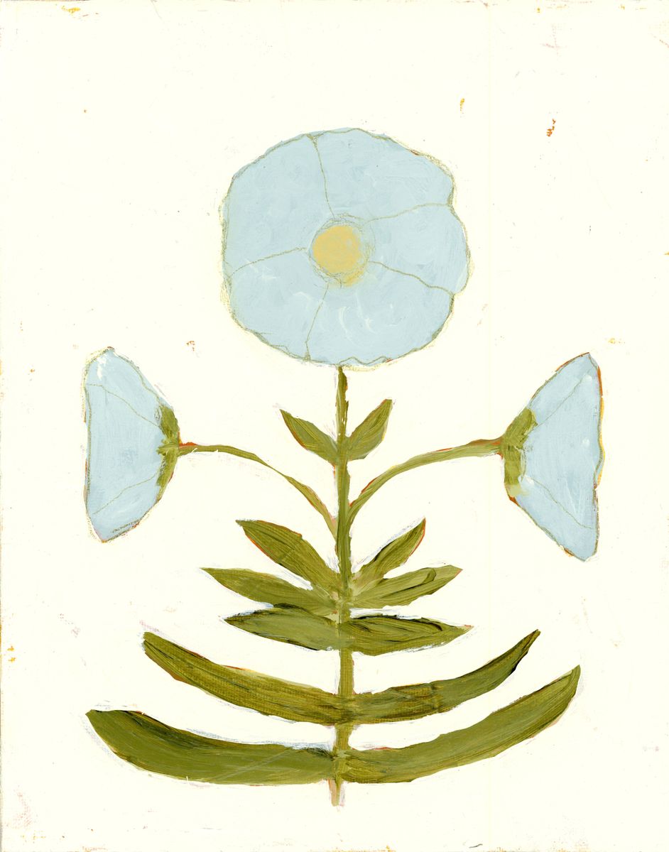 Jaipur Botanical in Cornflower (PRINT)