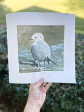 Load image into Gallery viewer, Carolina Gull I  {PRINT}
