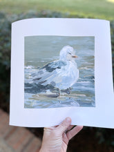 Load image into Gallery viewer, Carolina Gull II {PRINT}
