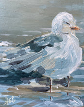 Load image into Gallery viewer, &#39;Carolina Gull I&#39;

