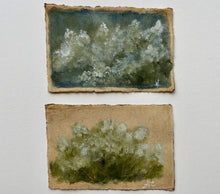Load image into Gallery viewer, &#39;Oakleaf on Raw Paper II&#39;
